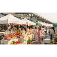 【大阪・岸和田】春のおでかけに「ワタワン春まつり」開催｜グルメ・マルシェが楽しめる注目イベント