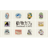 １０種の動物カフェが３月２１日（土）OPEN！シマウマ、フラミンゴ、カバ、ペンギンたちの日常にそっとお邪魔して特等席で楽しむカフェタイム