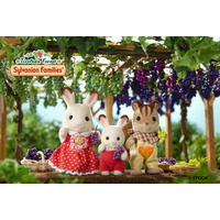 2026年3月28日(土）信州塩尻農業公園 チロルの森にて「シルバニアファミリーin Tirolean Forest」がオープンいたします。