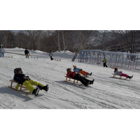 初めてでも勝てる”木ゾリ大会、北海道で熱戦──37名が参加、未来のリュージュ競技へ確かな手応え