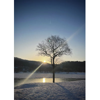 地域おこし協力隊×いいでカヌークラブ が贈る親子で学ぶ “白の水没林 観光教育” ネイチャーカヌー体験教室