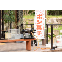 【先着20組限定7,000円引クーポン配布】全棟サウナ付グランピング施設シタラヴィレッジが「春の旅行支援」4プランを発表！U30割・子連れ無料・グループ1万円引など、奥三河の春を遊び尽くすグランピング