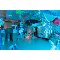 デザイン・クリエイティブセンター神戸（KIITO）『みんなでKIITOに水族館をつくろう！』全6回の連続ワークショップが完結しました！