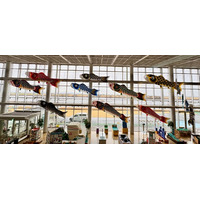 【加須市】「🎏こいのぼり水族館」が加須未来館に出現！4月4日・5日には職人と作る本格「こいのぼり作り体験」も開催
