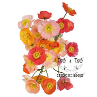 【新作特集】ツェツェ・アソシエ「四月の花器」特集公開。期間限定ラッピングサービスも実施。