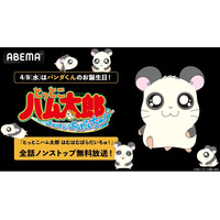 4月8日（水）は「ハムちゃんず」の“職人”パンダくんの誕生日！誕生日当日・朝6時30分より「ABEMA」で『とっとこハム太郎 はむはむぱらだいちゅ！』全話ノンストップ無料一挙放送が決定！