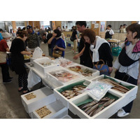 【福井県坂井市】三国港朝市を開催！　4月19日（日）から