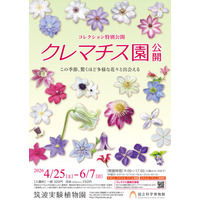 【国立科学博物館 筑波実験植物園】コレクション特別公開「クレマチス園公開」開催および報道内覧会のご案内
