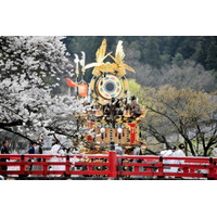 豪華絢爛な屋台が春を彩る「高山祭（山王祭）」開催