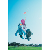 うみなか凧揚げフェスティバル開催！