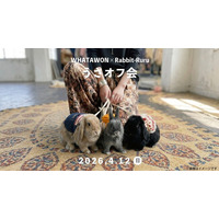 うさぎに囲まれる1日。撮る・買う・遊ぶが全部できる“体験型イベント”が人気の理由とは？【大阪・岸和田】