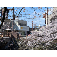 習い事の“渋滞”を解消！「週1回から無理なく通えるそろばん教室」