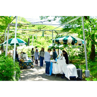 【恵那 銀の森】新緑あふれる森で癒しのひと時を｜GWイベント「GINNOMORI WEEK」開催