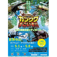 【GW・天満橋】世界最大のヘラクレスに会える！親子で楽しむ体験型昆虫イベント「凄いぞカブクワ展」を京阪シティモールで5月1日より開催