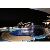 特別な思い出づくりにいかが　四国水族館で学校団体限定夜間貸切プランを受付中