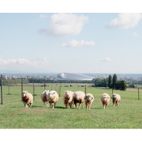 さっぽろ羊ヶ丘展望台クラーク博士像50周年記念「ゴールデンウイークイベント」開催のお知らせ(2026年4月29日～5月10日)