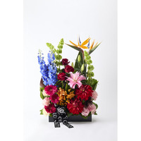 【ゴトウフローリスト】日常に品格を添える、2026年春の新定番フラワーコレクションを発表