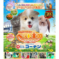 いなばペットフード　関西最大級ペットイベント「みんな大好き!!ペット王国2026」に出展！