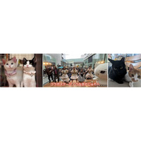 【静岡・浜松】5月31日は浜松駅前「ソラモフェス」に全員集合！!　音楽&グルメ&動物保護で「やさしさ」の輪を広げよう🐾