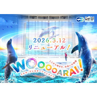 アクアワールド茨城県大洗水族館 イルカ・アシカオーシャンライブがリニューアル