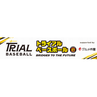 グルメ杵屋、阪神タイガース「未来につなぐトライアルベースボール」へ協賛。次世代の野球振興に向けた取り組みを推進