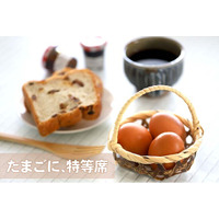 【新商品】3種類から選べる「虎竹手付きゆで卵かご」で食卓に温もりを添える