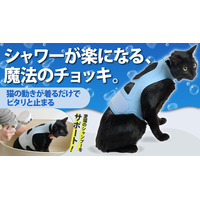 【Makuake3724％達成の大ヒット作、第2弾】着せたままシャンプーできる防水対応の「にゃんケアチョッキPRO」を先行発売！