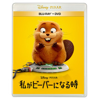 『私がビーバーになる時』ブルーレイ＋DVD セット、4K UHD＋ブルーレイ セット2026年7月22日（水）発売！もしも、動物の世界に入れたら？究極の“もふもふ”アドベンチャー！