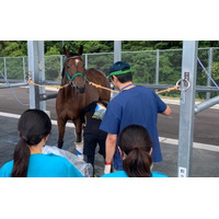 未来の獣医師を育む！ 牛や馬と触れ合う特別プログラムが鹿児島県曽於市のふるさと納税に新登場 、南九州畜産獣医学拠点（SKLV）で実施