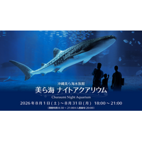 【沖縄美ら海水族館】夏の夜 水族館で特別な時間を「美ら海ナイトアクアリウム」開催