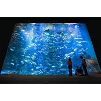 【JAF東北】JAFフェスティバル東北 in 男鹿水族館GAO「裏側見学ツアー」に参加しませんか？