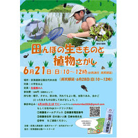安満遺跡公園の古代米水田で生き物探し