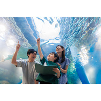 【品川プリンスホテル】～ホテルステイ×自由研究～水族館の飼育スタッフから学ぶSDGsとスペシャルゼリー（餌）作り