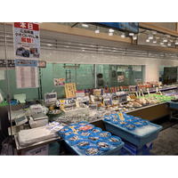 広島の夏の風物詩「小いわし漁」２０２６解禁