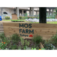 【板橋区×モスバーガー】　高島平緑地で手ぶらで楽しく農業体験！「MOS FARM Tokyo 高島平農園」をオープン！