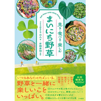 野草のふしぎと魅力を詰め込んだ、楽しい体験アイデア本『まいにち野草』発売（6/17）。