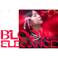 薔薇のように、美しく花開く。写真工房ぱれっと旭川店が成人新ビジュアル『Bloom into Elegance』を公開
