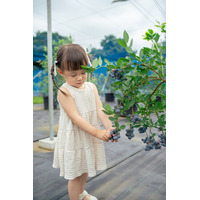 「自分で摘んでパクッ！」子どもの“やりたい”があふれる。子連れ家族来園率は驚異の76％！の元保健師と元保育士が想いを詰めた、遊んで育むブルーベリー狩り体験型農園【栃木県真岡市】