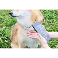 AIがナビゲートする【想定外を想定内にするペット用迷子札】を開発、9月発売。見つけた人も飼い主も個人情報交換不要で連絡可能