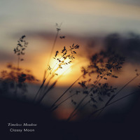 「MUSIC AWARDS JAPAN 2026」ノミネートアーティストClassy Moonが贈る。追憶を描く528Hzソルフェジオ連作第2弾『Timeless Meadow』7月10日配信開始
