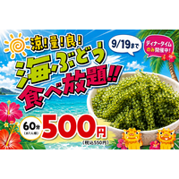 「沖縄料理なんくるないさー」対象店舗にて7月21日（火）～『夏だ!!海ぶどう食べ放題!!』を開催