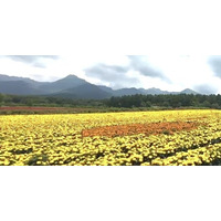 10haの花畑「YATZ GARDEN （ヤッツガーデン）」のマリーゴールドが7/20より見頃に【八ヶ岳農業大学校】