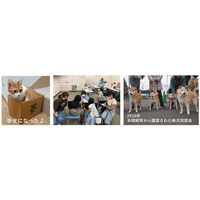 【静岡・藤枝】夏休みのしゅくだい手伝います 特別授業 『動物ほご活動を知ろう！』
