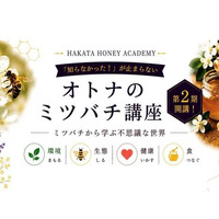 【福岡大学】理学部藍浩之教授が公開講座「オトナのミツバチ講座」で講演します（7/26）
