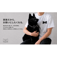 TIVO&TITO｜愛犬・愛猫とさりげなく楽しむペアライフスタイル　首輪やリバーシブルショルダーバッグなどが「Makuake」から発売開始。