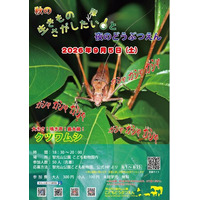【智光山公園】秋の生きものさがしたい（隊）と夜のどうぶつえんの申し込みは8月1日（土）スタート！