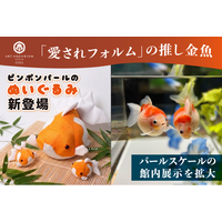 「愛されフォルム」の推し金魚！ まんまる可愛い“ピンポンパール”のぬいぐるみが新登場！ 発売を記念し “パールスケール”の館内展示を拡大！