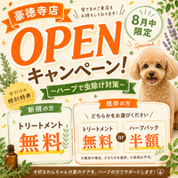 【PetsTokyo 豪徳寺１号店】リニューアル記念 ハーブで虫除け対策キャンペーンを開催