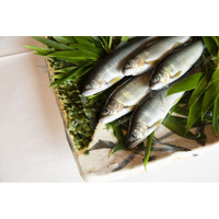 【岐阜県飛騨市】清流が育む「鮎」を満喫！絶品鮎を味わう「飛騨市鮎イベント2026」を開催中～「利き鮎会」グランプリ受賞の高原川・準グランプリの宮川。飛騨が誇る鮎を塩焼きや限定コースで楽しむ夏をお届け！