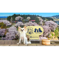 旅行メディア「旅色」で「丹泉ホテル」が提供する宿泊プランの販売を開始しました